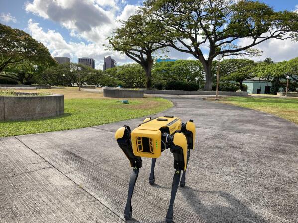 Police top robot dog